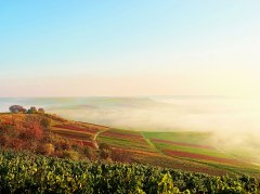 Autumn impression &copy; Robert Dieth