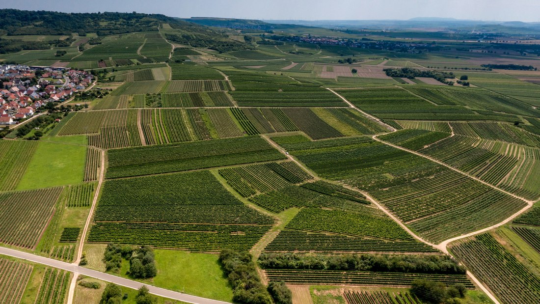 Ockenheimer Hockenmühle
