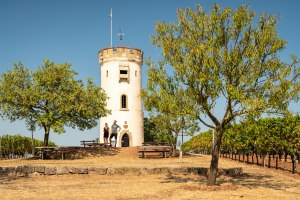 Wartturm in Nierstein, &copy; Dominik Ketz, Rheinhessen-Touristik GmbH