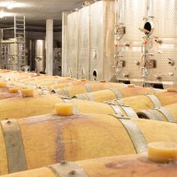Weinkeller Weingut Kern Bodenheim