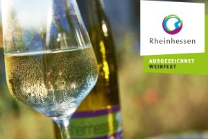 Wein der Vino Generation