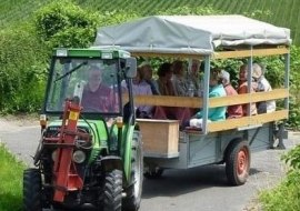 Weinbergsrundfahrt, &copy; Weingut am Honigberg