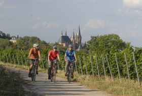 Oppenheim Radler, with a view of the Katharinenkirche (c) U. Feuerbach