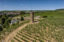 Weinheimer Heiliger Blutberg, © Torsten Silz