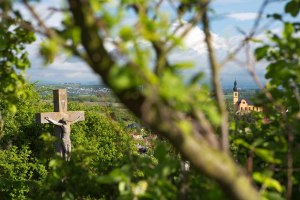 Weingut Schmitz_Ausblick, &copy; Weingut Schmitz