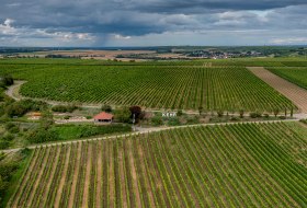 Weinolsheimer Kehr