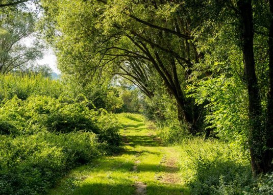 Naturschutzgebiet Gartenwiese