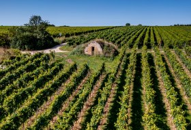 Dienheimer Tafelstein