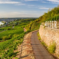 rheinhessen-2020-358 © Dominik Ketz