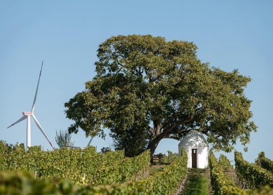 Trullo am Nu&szlig;baum Fl&ouml;rsheim-Dalsheim &copy; VG Monsheim, Fotograf Carsten Costard