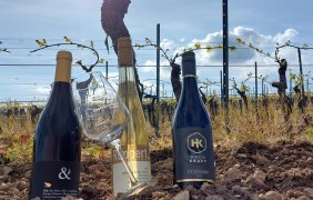 Weinflaschen im Wingert &copy; Nicole Abel