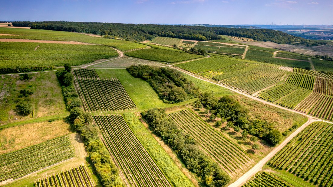 Horrweiler Gewürzgärtchen