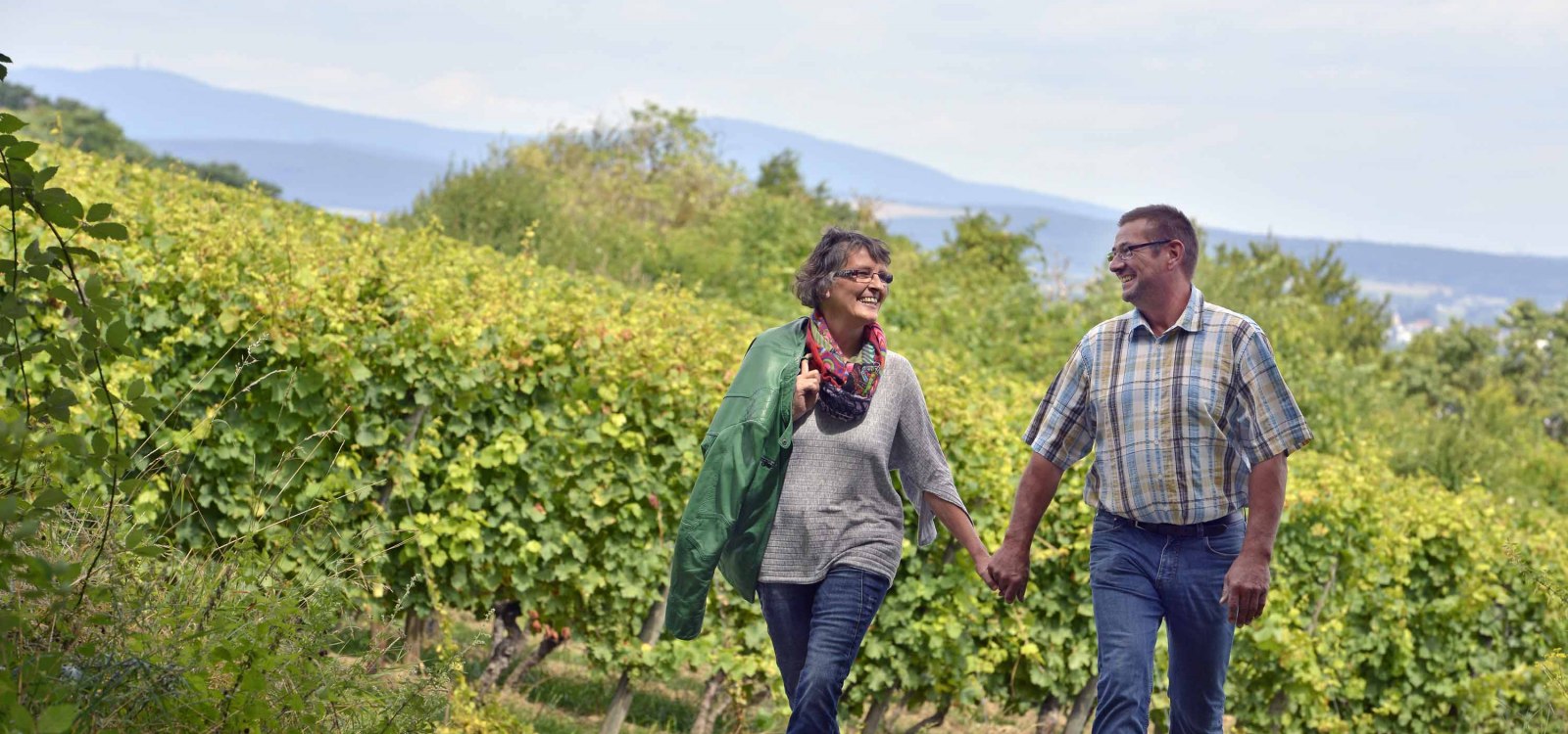 winery-stefan-liver, &copy; Weingut Stefan Leber