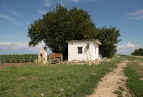 Wingertshäuschen Auf dem Winkel © Dominik Ketz