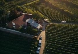 Weingut Uhinck Steigerhof GbR, &copy; Weingut Uhinck Steigerhof GbR, Foto Sebastian Greiner