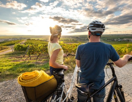 Weinpanorama bei Sonnenuntergang, &copy; Dominik Ketz