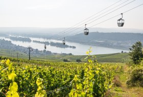 Seilbahn in R&uuml;desheim