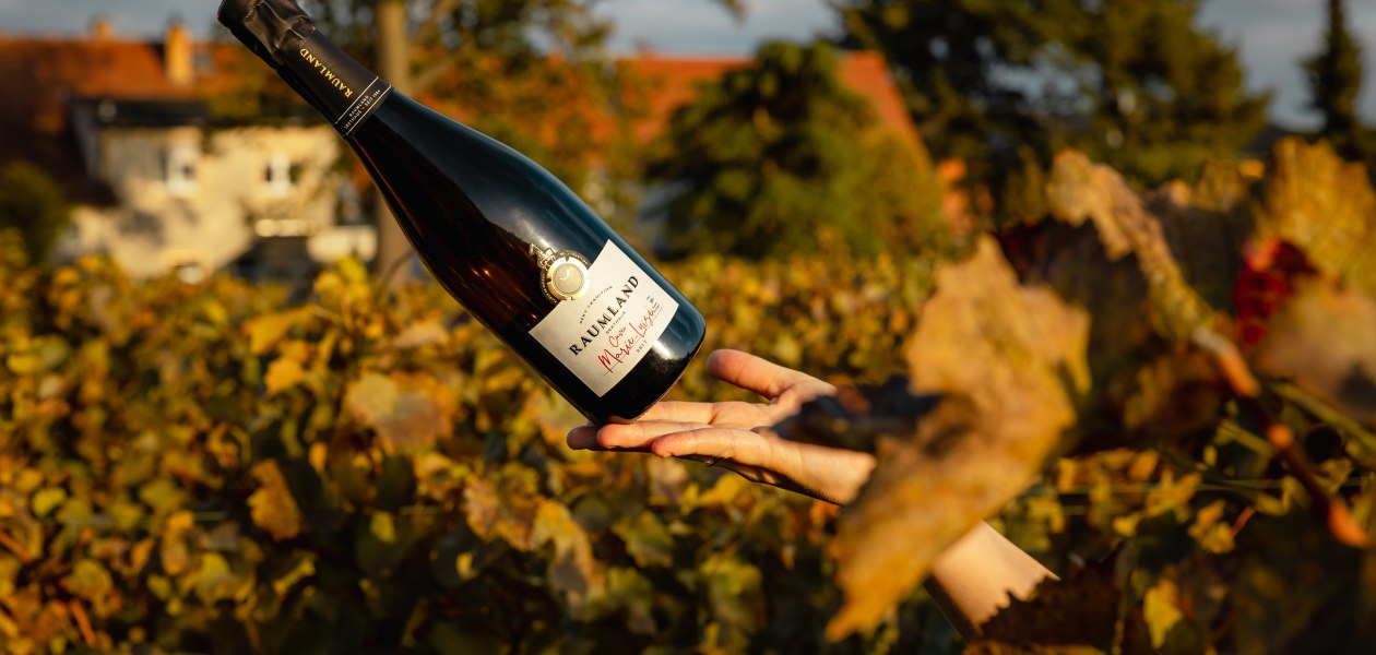 2022.10.17_Raumland@PCTRBRLN-29