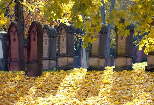 Alter J&uuml;discher Friedhof, &copy; Sascha Kopp/Landeshauptstadt Mainz