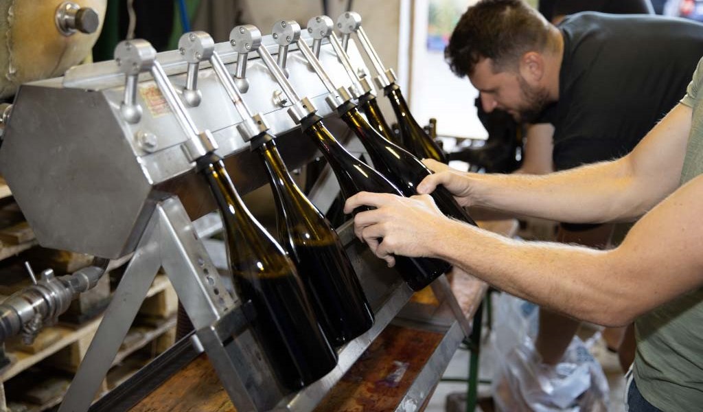 o51a3759dng, &copy; Weingut Baum-Barth