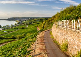 rheinhessen-2020-358, © Dominik Ketz