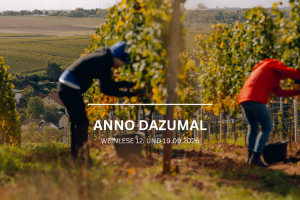 Weinlese Weingut Gehring, &copy; Weingut Gehring