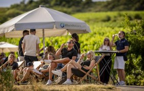 Entspannt im Liegestuhl © Rheinhessenwein e.V.