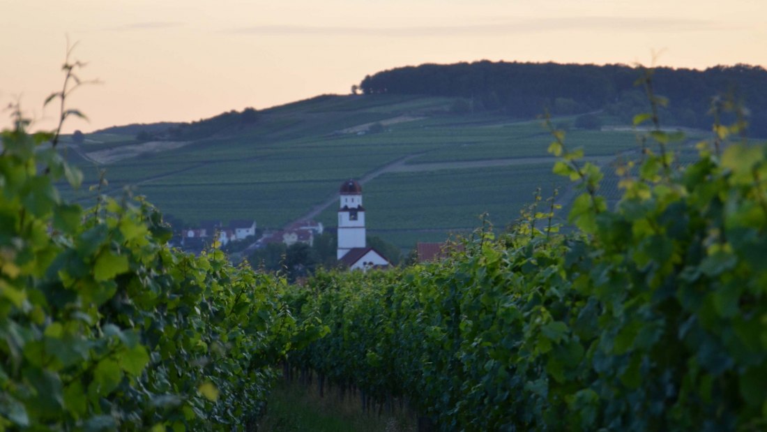 Weingut Richtarsky/ Ludwigshof_Weinberge, &copy; Weingut Richtarsky/ Ludwigshof