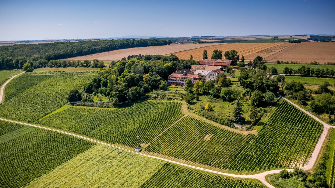 Ingelheimer Schloß Westerhaus