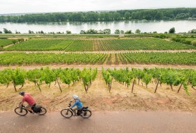 Radfahren am Roten Hang mit Blick auf den Rhein © Dominik Ketz