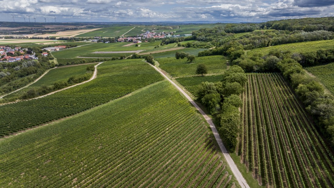 Bornheimer Hähnchen