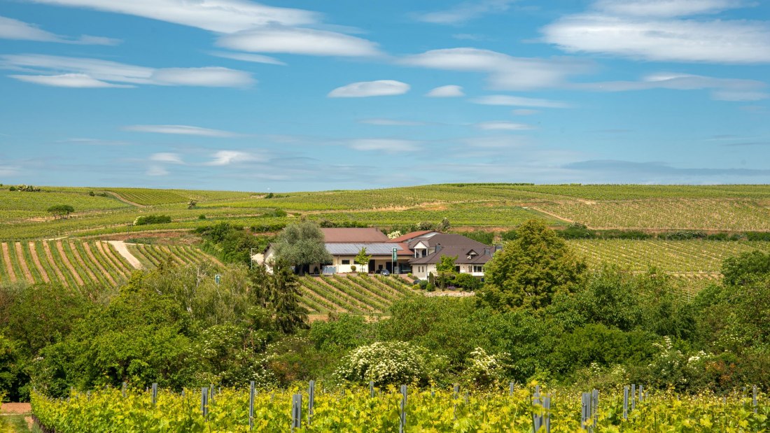 Machmer_Weingut_Titelbild