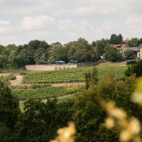 Weinrast &copy; VG Monsheim/Carsten Costard