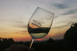 Weingut Merl