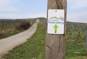 Kulturweg Petersberg © LAG Rheinhessen