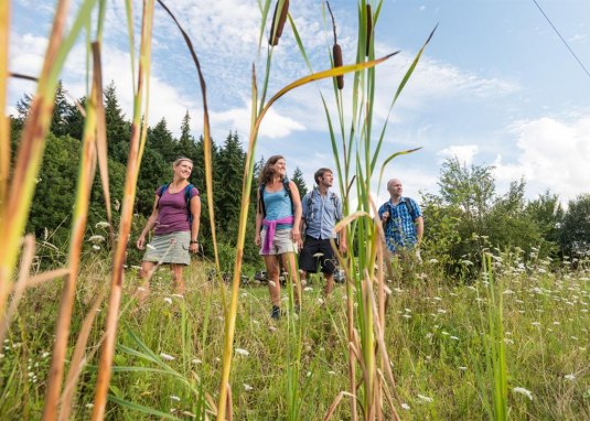 Feuchtbiotop Appelbach © Dominik Ketz