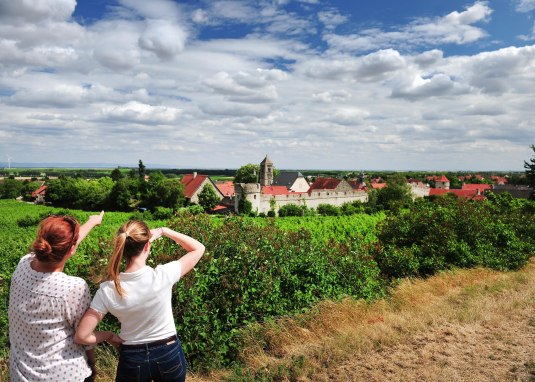 Blick auf den Ortsteil Dalsheim