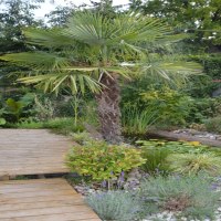 GB-Ferienhaus-21-768x1155