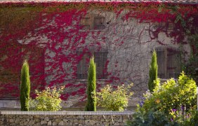 Westwind Weine &copy; Weingut Hein/Westwind Weine