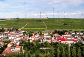 Dautenheimer Himmelacker