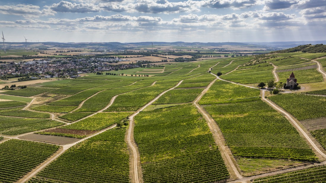 Gau-Bickelheimer Saukopf, © Torsten Silz