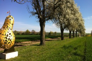 Birnbaumreihe