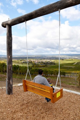 Den Blick schweifen lassen: Wingertsschaukel in Aspisheim
