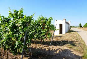 Trullo_Silberberg_Monsheim &copy; Michael R&ouml;hrenbeck