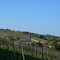 Ausblick Weinberge