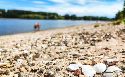 Rheinmomente zum Verlieben - Rheinstrand, © Silas Landeck