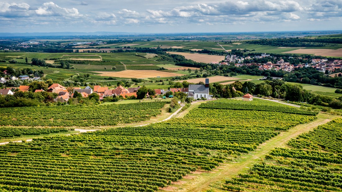 M&ouml;lsheimer Zellerweg am Schwarzen Herrgott