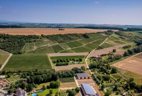 Appenheimer Hundertgulden