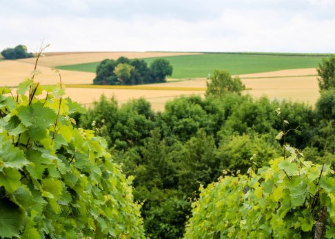 ausblick-greifenberg