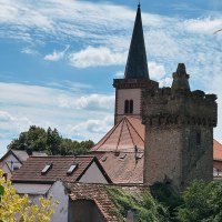 IMG_9080